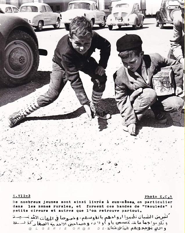 Algerie propagande 027.jpg
